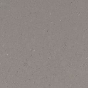 Fossil Gray