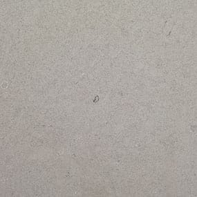 Fossil Gray - Matte Finish